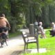 Antwerp parks mapping